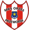 Piłkarze Orła Przeworsk na testach w Polonii Bytom