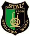 sparing: Stal Stalowa Wola - Wisła Puławy 3-2