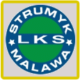 sparing: Strumyk Malawa - Sawa Sonina 1-2