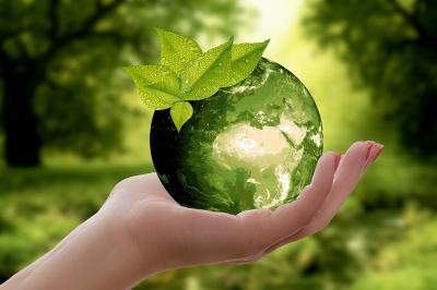 Warsztaty ekologiczne - odkryj znaczenie edukacji ekologicznej!