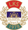 sparing: Igloopol Dębica - Błękitni Ropczyce 1-2