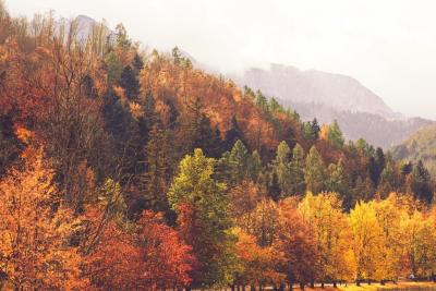 Zakopane jesienią, czyli uczta dla zmysłów – wyjątkowe barwy, smaki i widoki