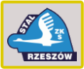 Stal Rzeszów przegrała z Pogonią Siedlce